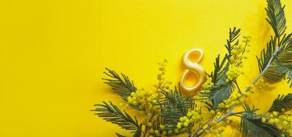 A bouquet of mimosa and the number 8 on a yellow background with copyspace is a greeting card for the International Women's Day on March 8. Women's Independence Day. Spring festival, springtime
