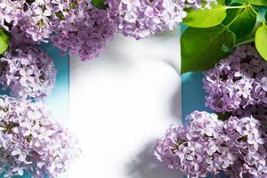 Purple lilac branches with shadows and highlights on blue spring background. Frame with copyspace with delicate fragrant flowers - beginning of summer. Holiday March 8, Easter, birthday, greeting card photo