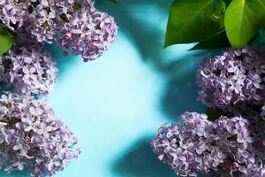 Purple lilac branches with shadows and highlights on blue spring background. Frame with copyspace with delicate fragrant flowers - beginning of summer. Holiday March 8, Easter, birthday, greeting card photo