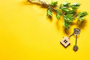 House key with keychain on yellow background and spring bouquet of branches with leaves. Farmhouse, tourism accommodation, booking, moving to new home, mortgage, rent and buy real estate, summer offer photo