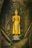 Samut Songkhram-Thailand - 23 October 2021 Buddha statue resting on tree roots