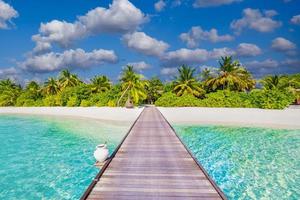 Maldives island beach. Tropical landscape of summer scenery, white sand with palm trees. Luxury travel vacation destination. Exotic beach landscape with swing or hammock. Maldives holiday background photo