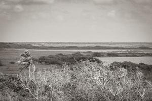 Muyil Lagoon panorama view in tropical jungle of amazing Mexico. photo