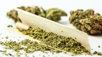Close-up of medical marijuana buds on white background