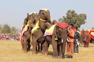 Sayaboury Province, Laos, 2018-Elephant Festival photo