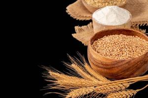 Wheat, barley, flour and spikelets on black background, baking ingredients concept photo