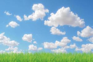 Grass field and sky with bright clouds for the background in the project. photo