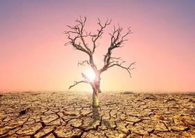 concept of environmental change and global warming photo
