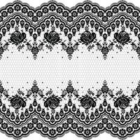 Lace seamless pattern with flowers vector