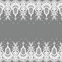Lace seamless pattern with flowers vector
