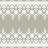 Lace seamless pattern with flowers vector