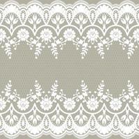 Lace seamless pattern with flowers vector