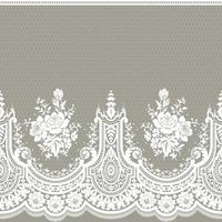 Lace seamless pattern with flowers vector