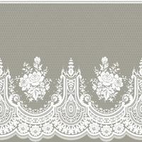 Lace seamless pattern with flowers vector