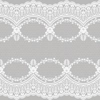 Lace seamless pattern with flowers vector