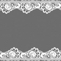 Lace seamless pattern with flowers vector