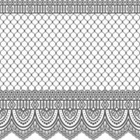 Lace seamless pattern with flowers vector