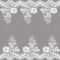 Lace seamless pattern with flowers vector