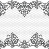 Lace seamless pattern with flowers vector