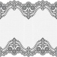 Lace seamless pattern with flowers vector