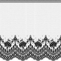 Lace seamless pattern with flowers vector