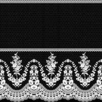 Lace seamless pattern with flowers vector