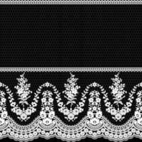 Lace seamless pattern with flowers vector