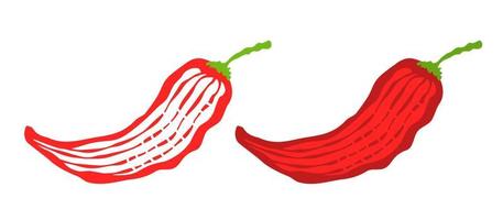 Vector illustration of chilli pepper. Vector icon of chili pepper in vintage style.