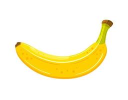 plátano amarillo aislado en un fondo blanco vector