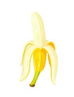 Yellow banana isolated on white background vector