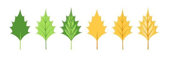 Leaves collection isolated on white background vector