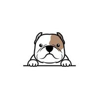 Cute american bully dog cartoon, vector illustration