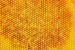 panal de abejas lleno de miel dorada foto