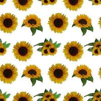 Watercolor sunflower pattern photo