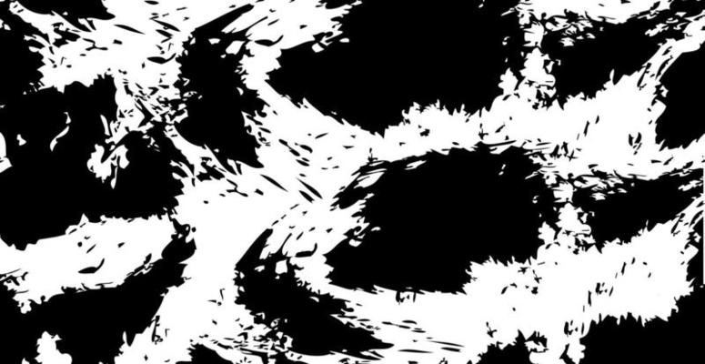 Panoramic grunge background black and white texture - Vector