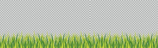 hierba verde realista sobre un fondo panorámico transparente - vector