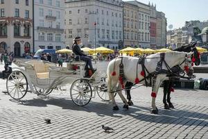 Cracovia, Polonia, 2014. carro y caballos foto