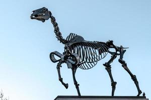 London, UK, 2015. Hans Haacke statue Gift Horse in Trafalgar Square photo