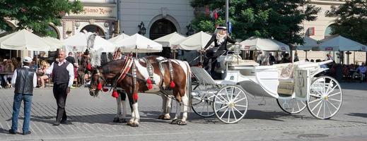 Cracovia, Polonia, 2014. carro y caballos foto