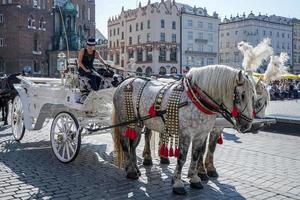 Cracovia, Polonia, 2014. carro y caballos foto