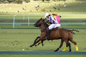 MIDHURST, WEST SUSSEX, UK, 2020. People playing polo photo