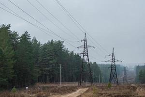 High voltage power lines passing through the forest area. photo