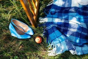 apples and blue blanket on the grass photo