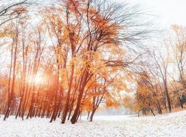 primeros dias de invierno foto