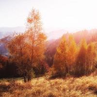 beautiful autumn mountain time in the Carpathian photo