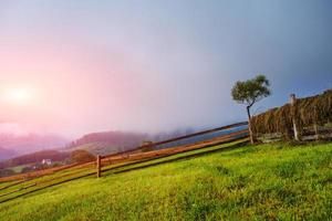 Colorful summer landscape photo