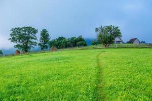 Beautiful sunny day is in mountain landscape. photo