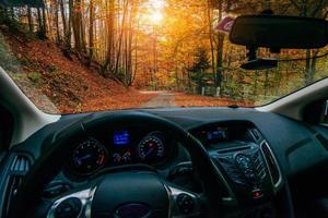 car on a forest path photo