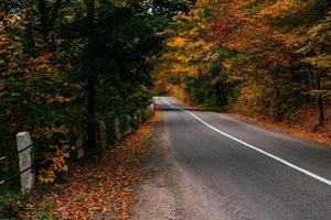 autumn road landscape photo