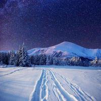 cielo estrellado en invierno noche nevada foto